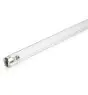Philips T8 UV - C 25W - Ultraviolett | 44cm